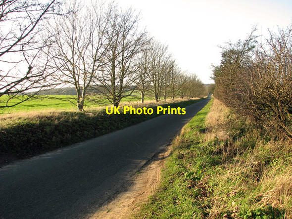 Photo 6"x4" Country lane from Swaffham to Narford Swaffham c2012
