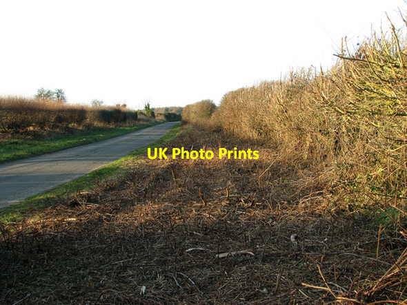Photo 6"x4" Country lane from Swaffham to Narford Swaffham c2012