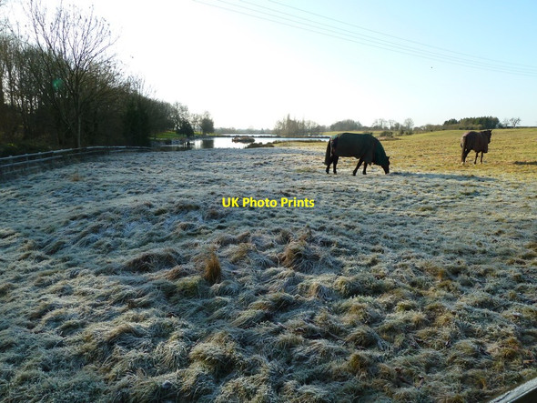 Photo 6"x4" Church Hill fishery Mursley c2012