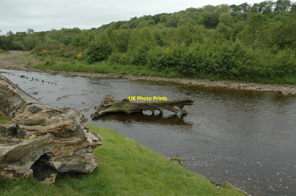 Photo 6"x4" River South Tyne at Diamond Oak Coanwood c2011