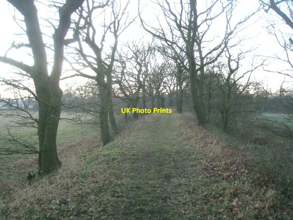 Photo 6"x4" Footpath on an embankment Eskholme\/SE6317 c2012