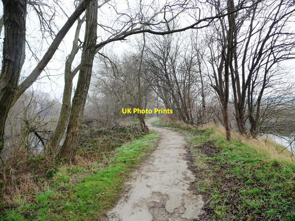 Photo 6"x4" The Trans Pennine Trail near Skelton Grange Cross Green\/SE3232 c2012
