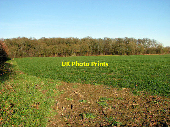Photo 6"x4" View towards the Skouldings, Easton Easton\/TM2858 c2012