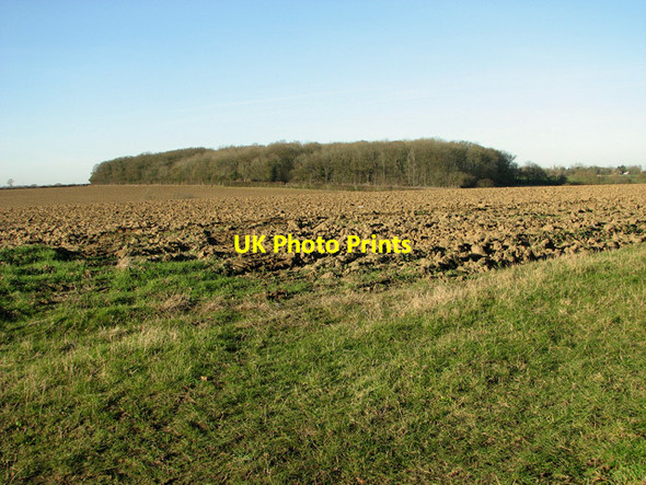 Photo 6"x4" Sessions Wood, Easton Easton\/TM2858 c2012