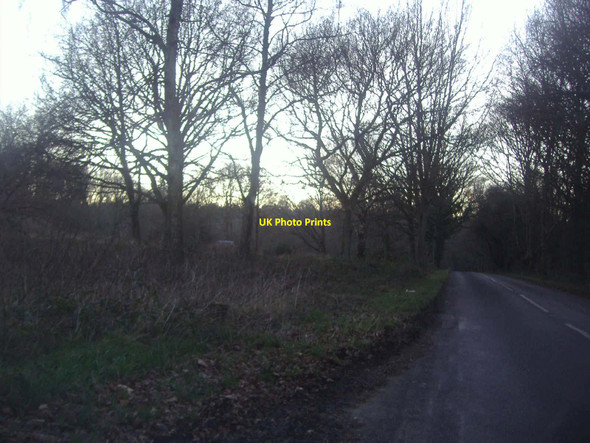 Photo 6"x4" Ranmore Common Road Ranmore Common\/TQ1450 c2012