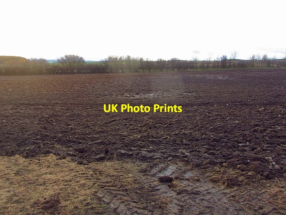 Photo 6"x4" Field by Scremerston Scremerston c2012