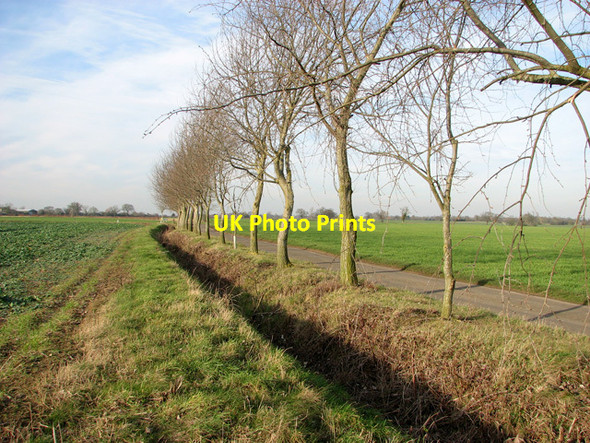 Photo 6"x4" Ditch beside the road past Moat Farm Chippenhall Green c2012
