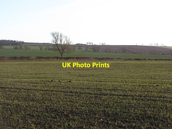 Photo 6"x4" Arable land, Heiton Heiton c2012