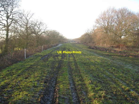 Photo 6"x4" Long narrow field Fosterhouses c2012