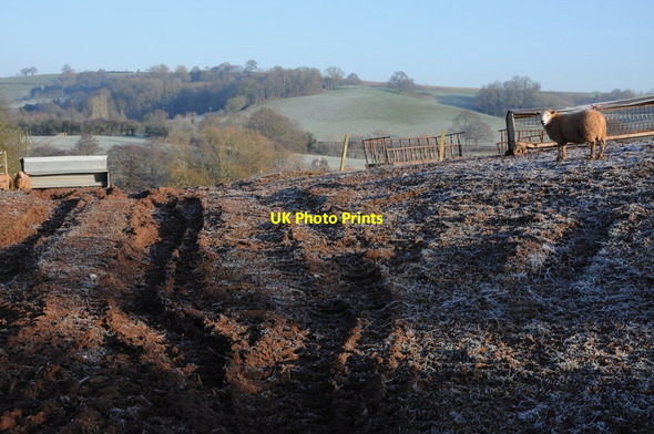 Photo 6"x4" Frosty morning Onen c2012