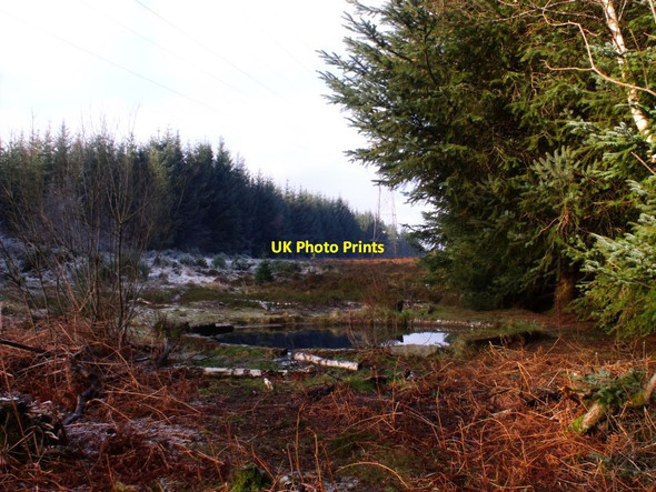 Photo 6"x4" Torwood, flooded break pressure chamber [2] Denny c2012