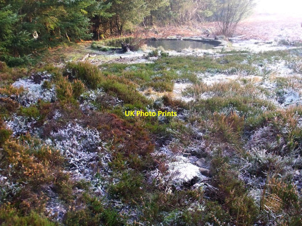 Photo 6"x4" Torwood, flooded chamber (2) Denny c2012