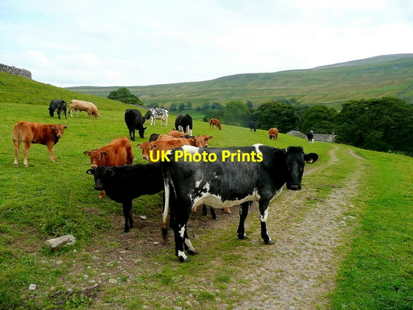 Photo 6"x4" Hay Close residents 2010 Cray\/SD9479 c2010