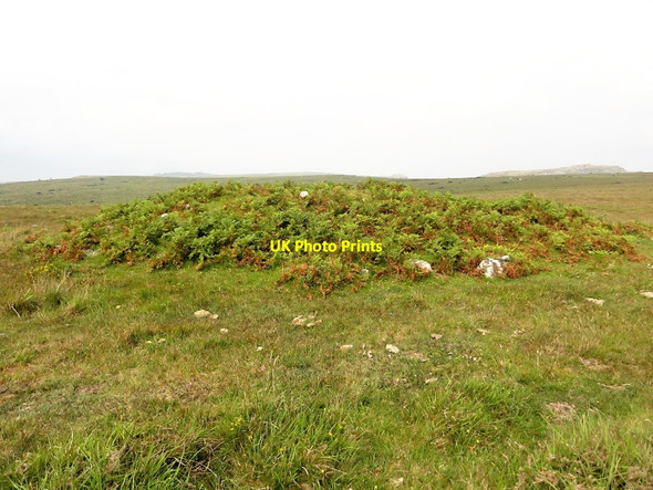 Photo 6"x4" A Tumulus on Craddock Moor Common Moor\/SX2469 c2011