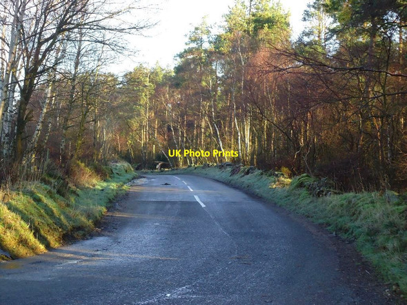 Photo 6"x4" South Drum, road to Falkirk Greenhill\/NS8278 c2012