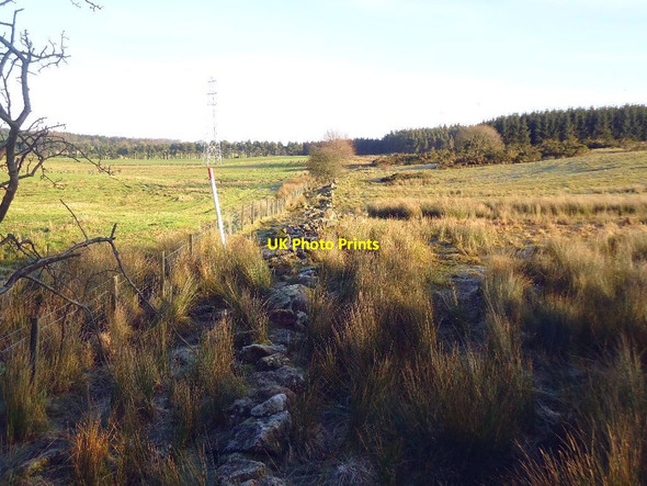 Photo 6"x4" Old dyke (ruin) Greenbank\/NS8679 c2012