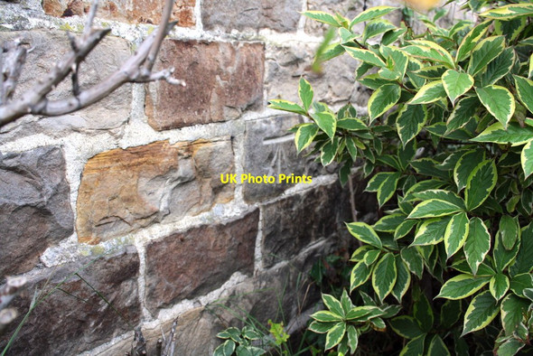 Photo 6"x4" Benchmark on 'Oakdene' Wensley\/SE0989 c2011