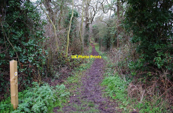 Photo 6"x4" Public footpath to Porters Mill Lane Fernhill Heath c2012
