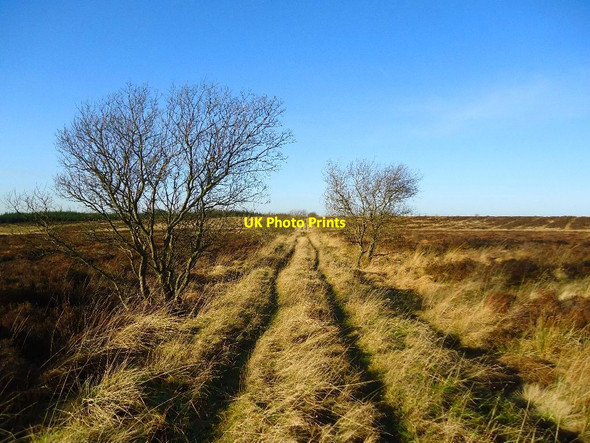 Photo 6"x4" Newcraig to Beam Expressway Slamannan c2012