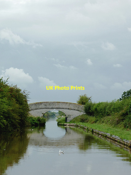 Photo 6"x4" Shropshire Union Canal near Hack Green, Cheshire Hack Green c2011