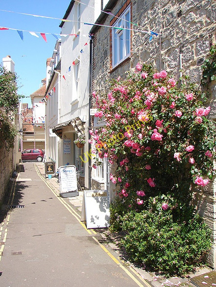 Photo 6"x4" Wheatsheaf Lane, Yarmouth Yarmouth c2008