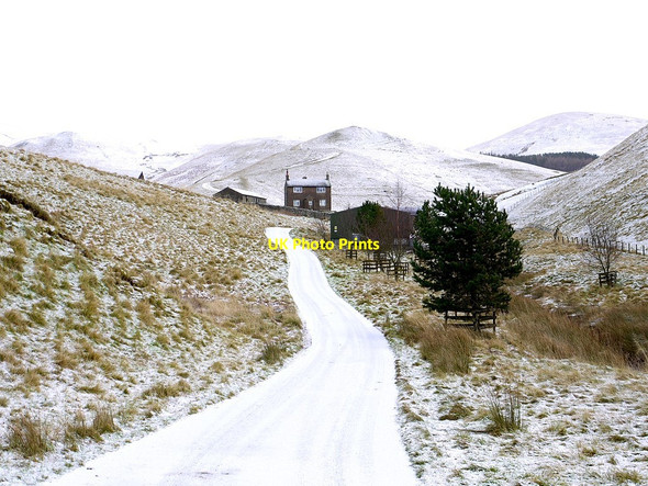 Photo 6"x4" Road south of Trows Farm Barrow Burn\/NT8610 c2012