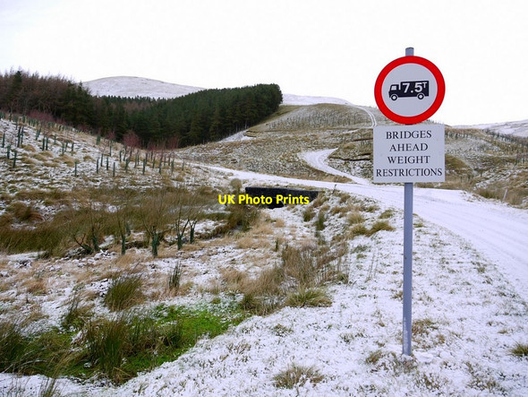 Photo 6"x4" Track junction by the Wardlaw Burn Barrow Burn\/NT8610 c2012