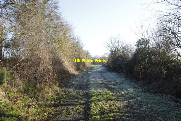 Photo 6"x4" Towards the road Piddington\/SP8054 c2012
