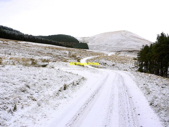 Photo 6"x4" Track to Uswayford near Trows Plantation Barrow Burn\/NT8610 c2012