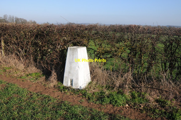 Photo 6"x4" Trig point near Newland Common Newland Common c2012
