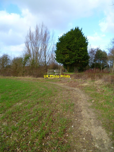 Photo 6"x4" Footbridge to Chichester Golf Course Street End\/SZ8599 c2012