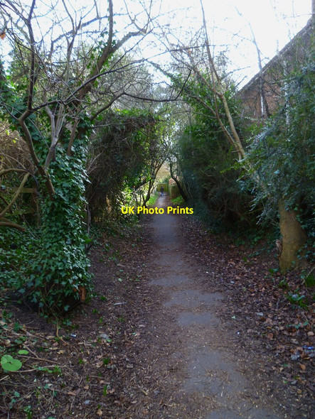 Photo 6"x4" Footpath from Stockbridge Road to the Chichester Canal Chichester c2012