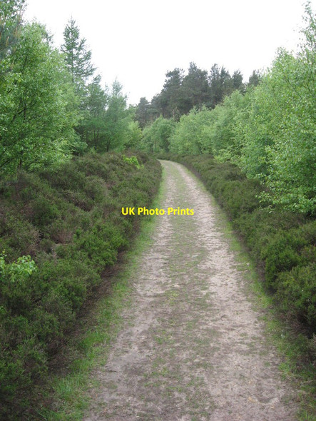 Photo 6"x4" Footpath near Noddle End Silpho c2011
