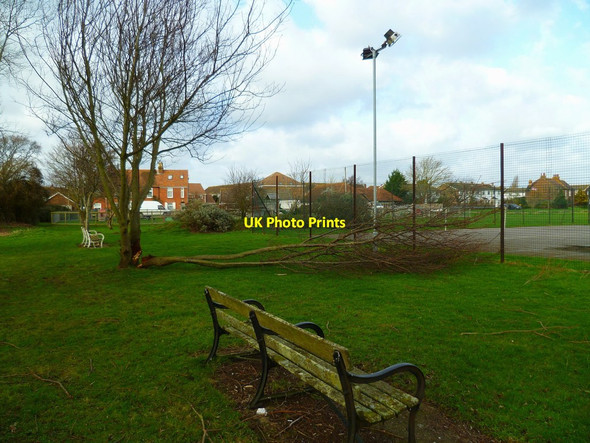 Photo 6"x4" Seats and broken tree at Hunston Hunston\/SU8601 c2012