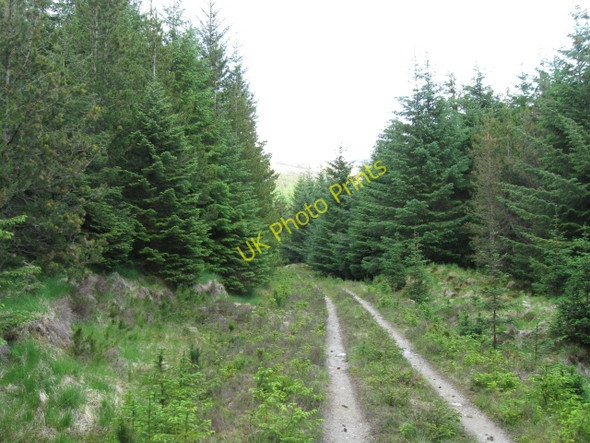 Photo 6"x4" Looking back down track Am M\u00e0m\/NN0985 c2008