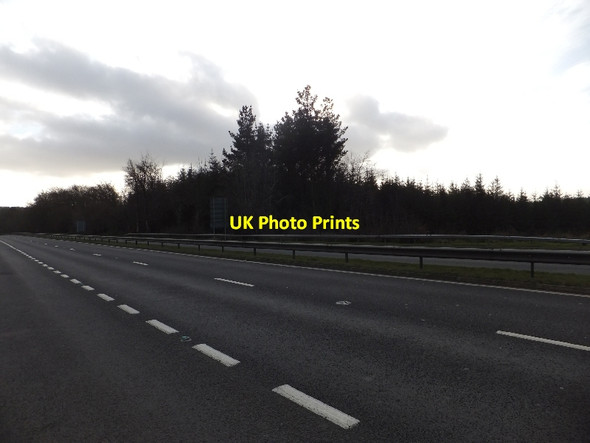 Photo 6"x4" Looking across A380 towards woodlands Harcombe\/SX8881 c2012