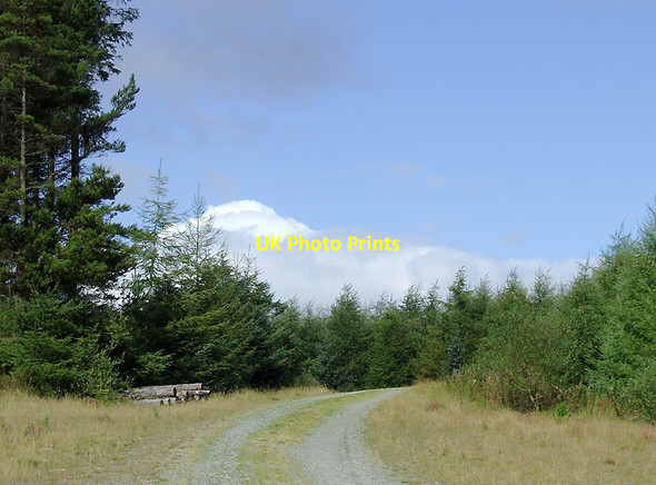 Photo 6"x4" Forestry road in the Dalarwen Plantation near Pen y Gurnos, Ceredigion Llyn Brianne\/SN7951 c2010 P1