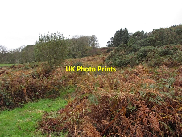 Photo 6"x4" Path to Glen Iorsa Auchencar c2011