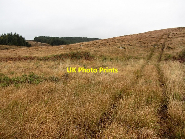 Photo 6"x4" All terrain vehicle tracks, Glen Iorsa Auchencar c2011