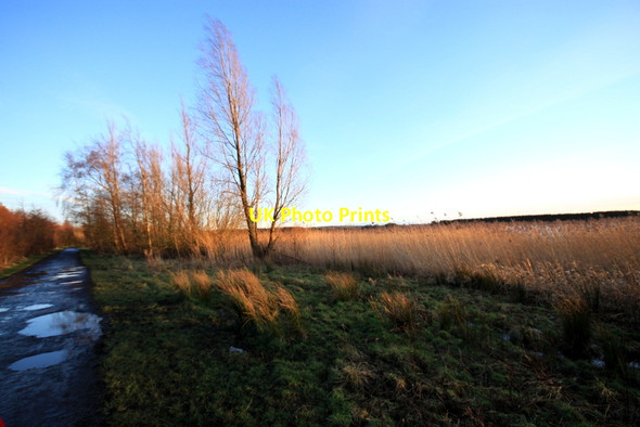 Photo 6"x4" Lochore Meadows Crosshill\/NT1796 c2012