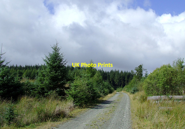 Photo 6"x4" Forestry road in the Dalarwen Plantation near Pen y Gurnos, Ceredigion Llyn Brianne\/SN7951 c2010 P1
