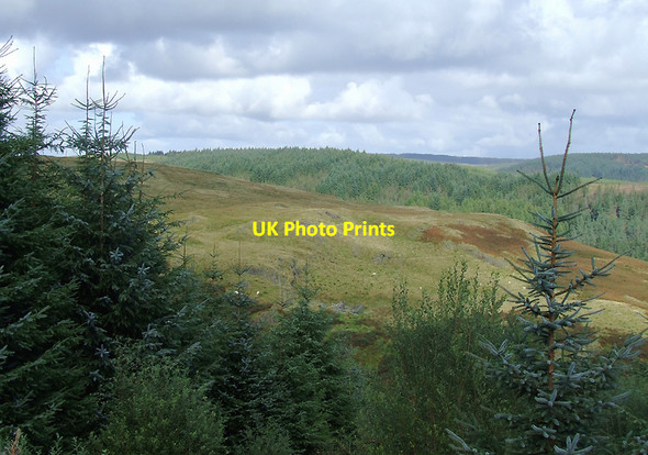 Photo 6"x4" Elenydd moorland and Tywi Forest, Ceredigion Llyn Brianne\/SN7951 c2010