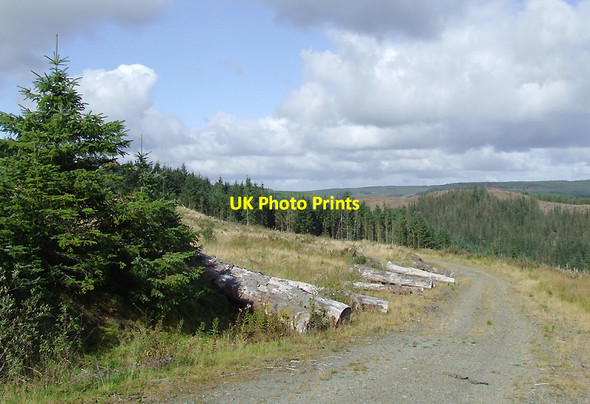 Photo 6"x4" Forestry road in the Dalarwen Plantation, Ceredigion Llyn Brianne\/SN7951 c2010