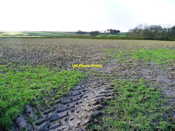 Photo 6"x4" Stubble field with tractor tracks Eastburn Br c2012