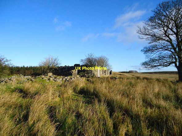 Photo 6"x4" Righead (ruins) Abronhill c2012