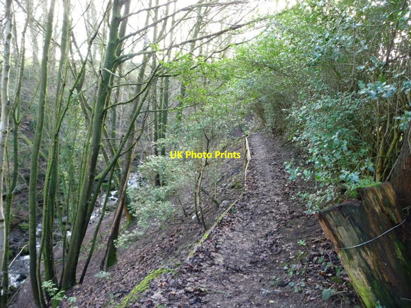 Photo 6"x4" Footpath along Steeton Beck Whitley Head c2012