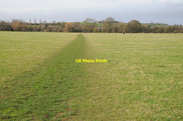 Photo 6"x4" Path across Severn Ham Tewkesbury c2012