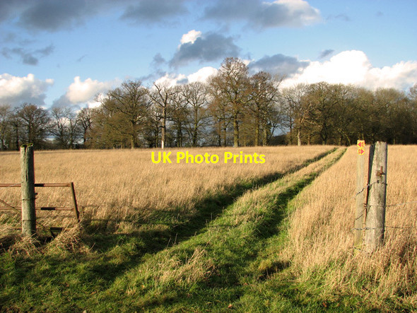 Photo 6"x4" Diverted footpath to Round Wood Burstall c2012