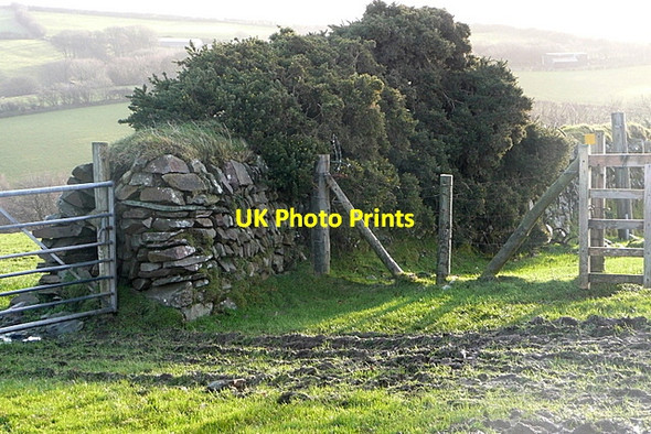Photo 6"x4" Field corner on Countisbury Common Leeford\/SS7748 c2011