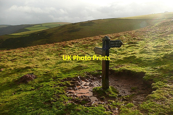 Photo 6"x4" Signpost on The Foreland Countisbury c2011